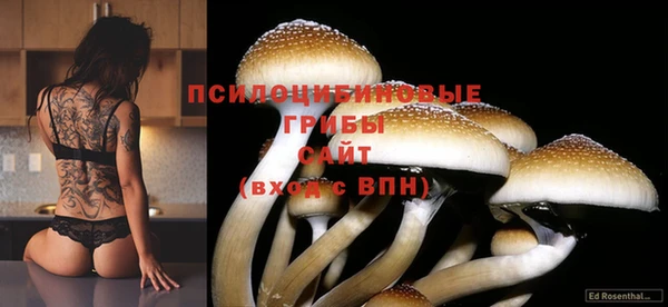 дмт Балахна