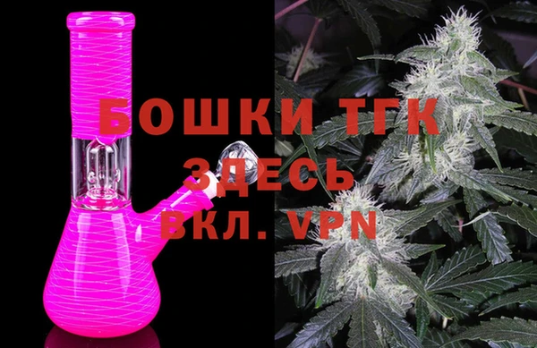 шишки Баксан