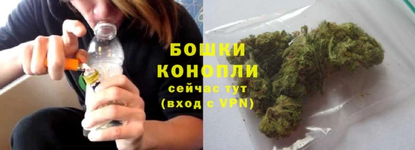 шишки Баксан