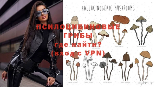 шишки Баксан