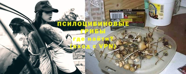 шишки Баксан