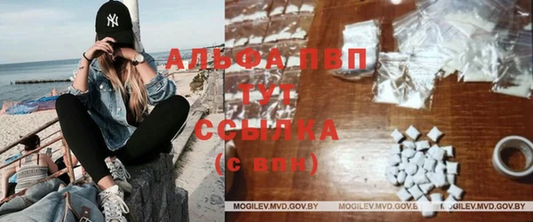 шишки Баксан