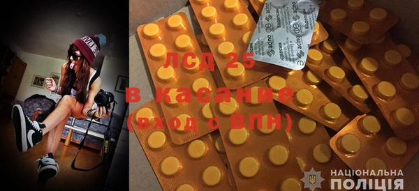 шишки Баксан