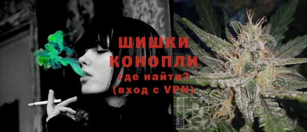 шишки Баксан