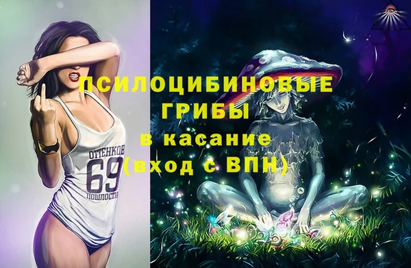 шишки Баксан
