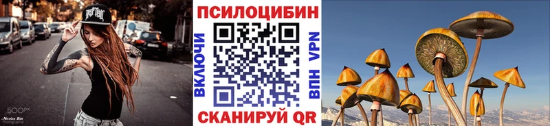 купить наркотик  Кировск  Галлюциногенные грибы прущие грибы 